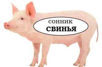 До чого сниться грязюка: розкриваємо таємниці підсвідомості вашого сну