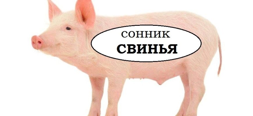 До чого сниться грязюка: розкриваємо таємниці підсвідомості вашого сну