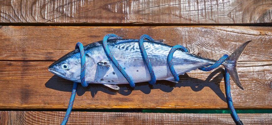 До чого сниться їсти смажену рибу: тлумачення снів та значення