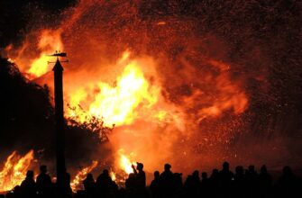 До чого сниться їжак: символіка та тлумачення популярного сну