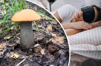 До чого сниться кабан: тлумачення сновидінь та символіка образу