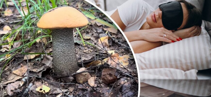 До чого сниться кабан: тлумачення сновидінь та символіка образу