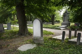 До чого сниться кладовище дівчині: значення сну та його інтерпретація