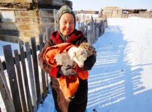 До чого сниться козеня: значення сновидінь про маленьке козеня