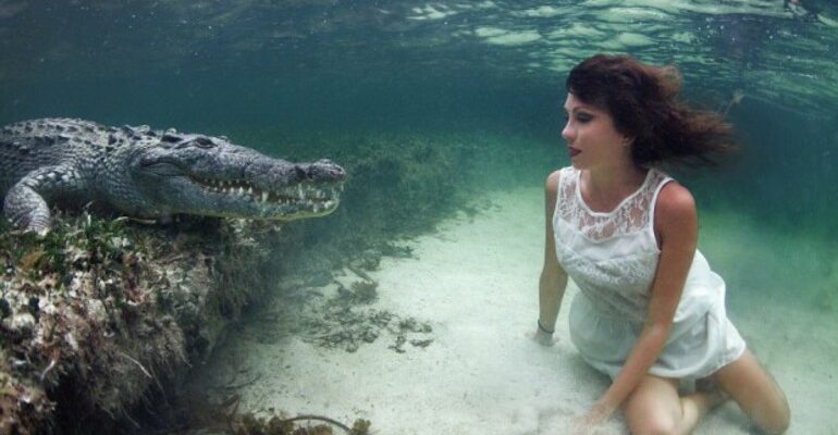 До чого сниться крокодил: докладне тлумачення сну та його значення