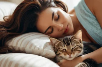 До чого сниться маленьке кошеня: значення та тлумачення сновидіння