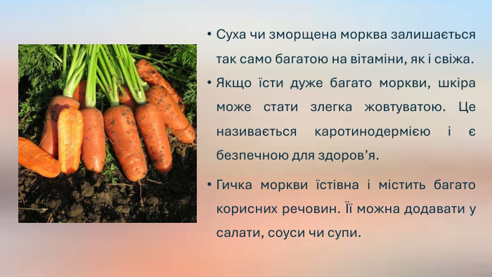 До чого сниться море: Повне тлумачення снів про море й океан