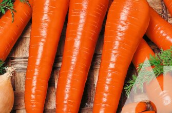 До чого сниться морква: тлумачення сновидінь та їх значення