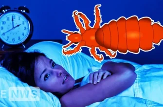 До чого сниться обісратися: тлумачення сну та його значення для вас