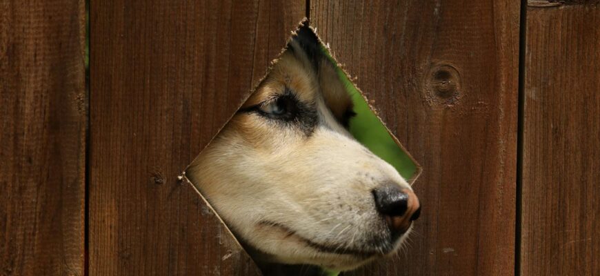 До чого сниться операція: тлумачення сну та символічне значення