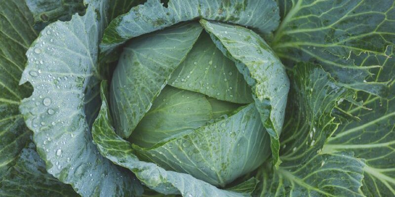 До чого сниться покійна бабуся: тлумачення та значення сновидіння