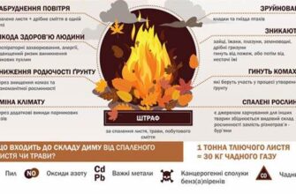 До чого сниться скошена трава: розгадка символіки снів і значень