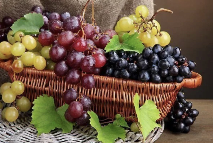 ⭐ Що означає, коли сниться Виноград: Сонник від А до Я ⭐