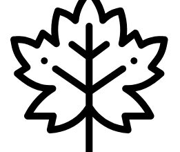 До чого сниться труна: розкриття значення сновидіння про труну