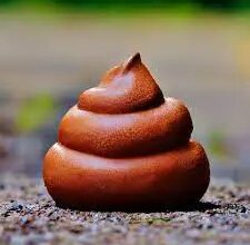 До чого сниться власне гімно: розгадка символів у сновидіннях