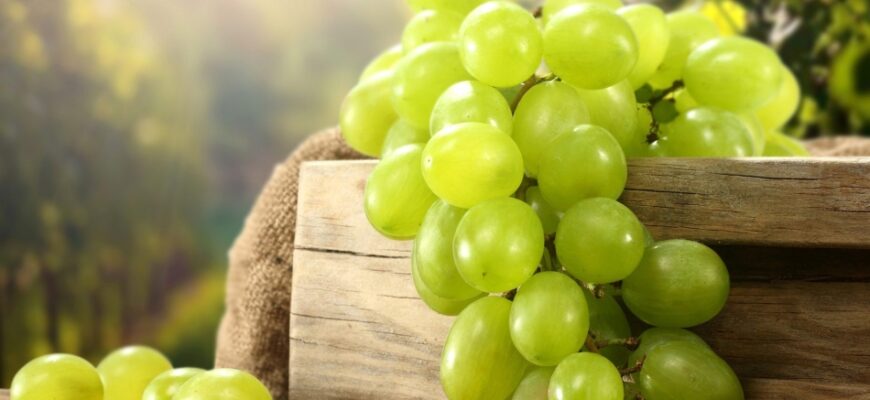 До чого сниться виноград: розкриття значення сновидінь про плоди