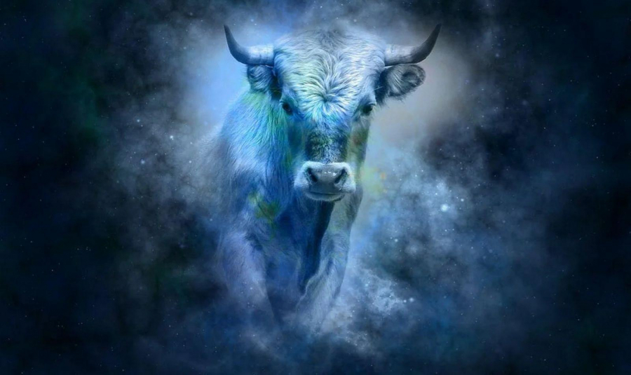 Мій текстовий квест «Та заради справедливості!» — інтерактивна ...