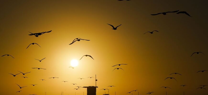 До чого сниться зорана земля: значення та тлумачення сновидіння