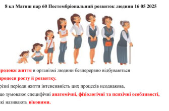 До якого віку зростає людина: ключові етапи розвитку і фактори росту