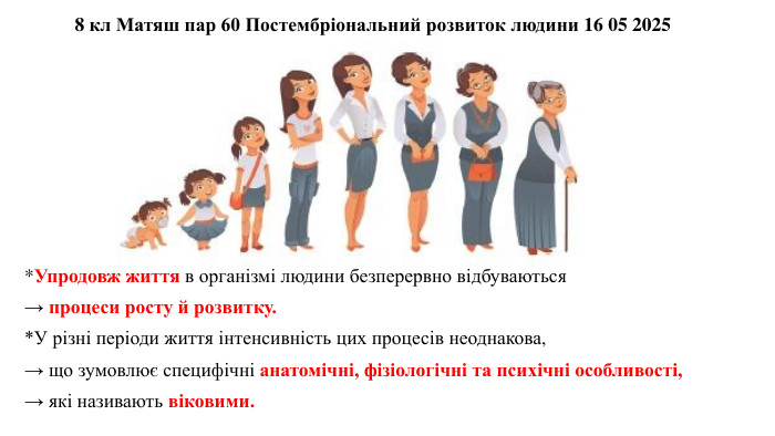 До якого віку зростає людина: ключові етапи розвитку і фактори росту