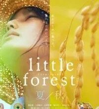 Дивіться онлайн українською: Зима, Весна, Літо чи Осінь – серіал року!