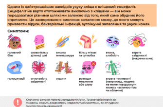 Енцефаліт: Чи Можливе Повне Вилікування? Відповіді Та Прогнози