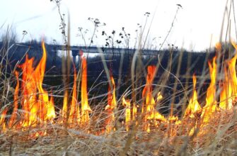 H1: Що означає снитися пронос: трактування сновидінь та можливі значення