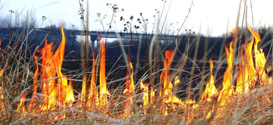 H1: Що означає снитися пронос: трактування сновидінь та можливі значення