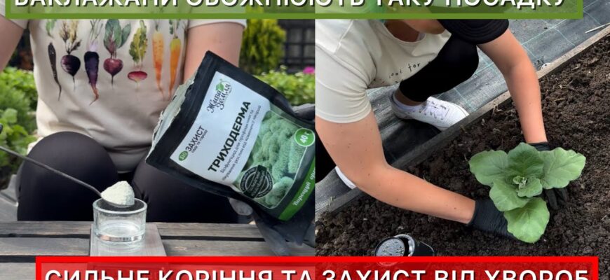 Коли і як безпечно садити рослини після урагану: поради експертів