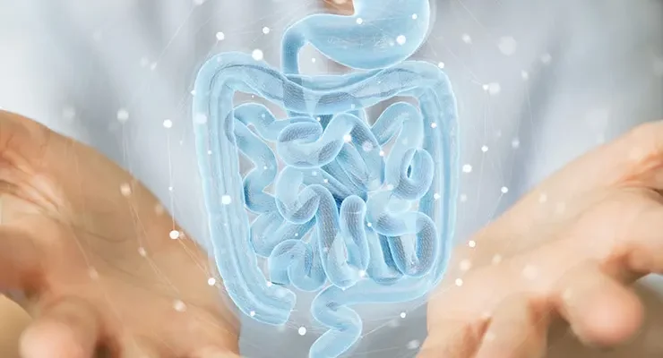 Коли приймати пробіотики: до чи після курсу антибіотиків?