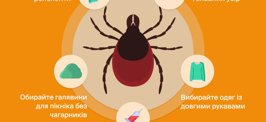 Коли й навіщо здавати кров після укусу кліща: важливі рекомендації