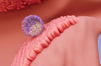 Коли ймовірність вагітності найвища після закінчення місячних?