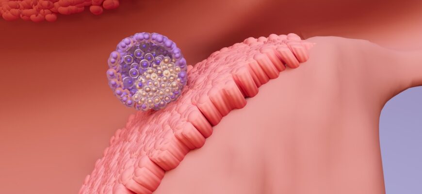 Коли ймовірність вагітності найвища після закінчення місячних?