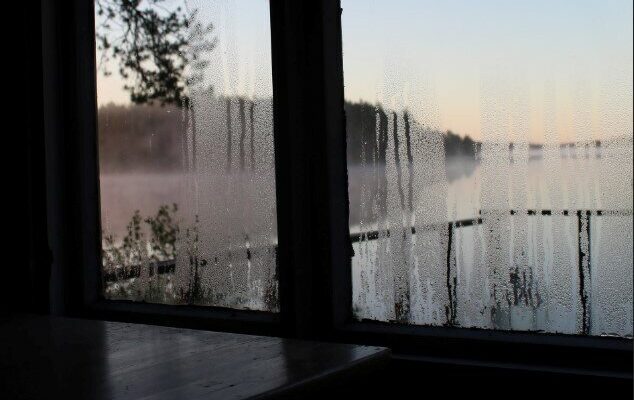 Оптимальна вологість повітря в кімнаті: які показники вважаються нормою?