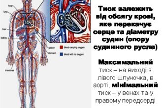 Оптимальний артеріальний тиск у дитини 12 років: норми та відхилення