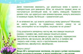 По життю чи по житті: правильний вибір в українській орфографії