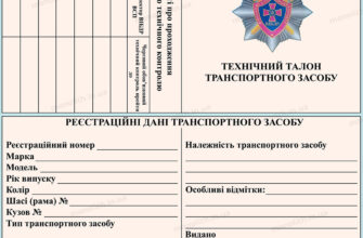 Права пасажира автобуса: ваші можливості під час поїздки транспортом