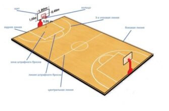 Розмір волейбольного майданчика: стандартні параметри та вимоги