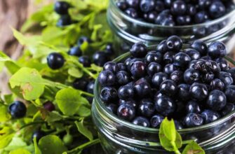 Що корисніше для здоров’я: порівняння лохини та чорниці