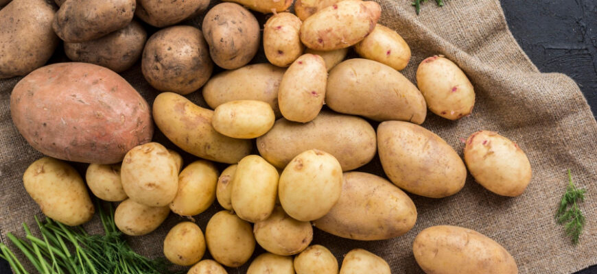 Що означає, коли сниться багато картоплі: тлумачення сновидінь