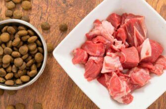 Що означає, коли сниться м’ясо: детальний аналіз і трактування снів