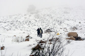 Що означає, коли сниться сніг: тлумачення сновидіння та його значення