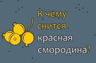 Що означає сон, де сняться червоні вишні: тлумачення та символіка