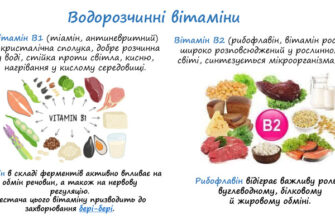 Що таке вітамін U та його важлива роль для організму