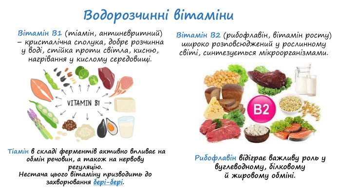 Що таке вітамін U та його важлива роль для організму
