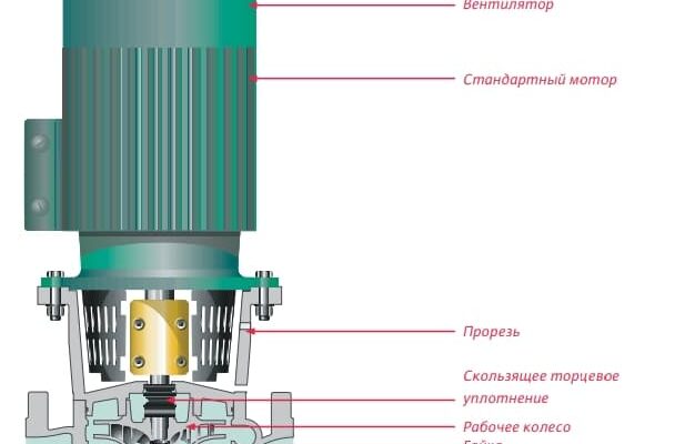 Шнековий чи центробіжний насос: який обрати для Ваших потреб?