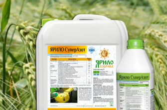 Скільки часу повинен дозрівати самозаміс для ідеального аромату?