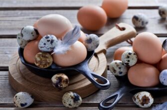 Скільки калорій у яйці: детальний аналіз калорійності яйця