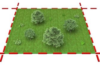 Скільки метрів квадратних містить один гектар: точні підрахунки