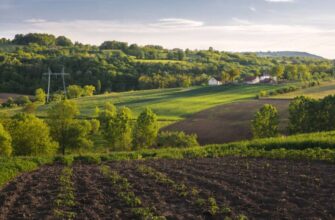 Скільки соток в одному гектарі: детальний перерахунок та пояснення